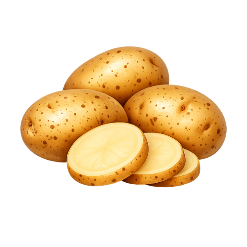 Home Cooked Dishes logo (2)